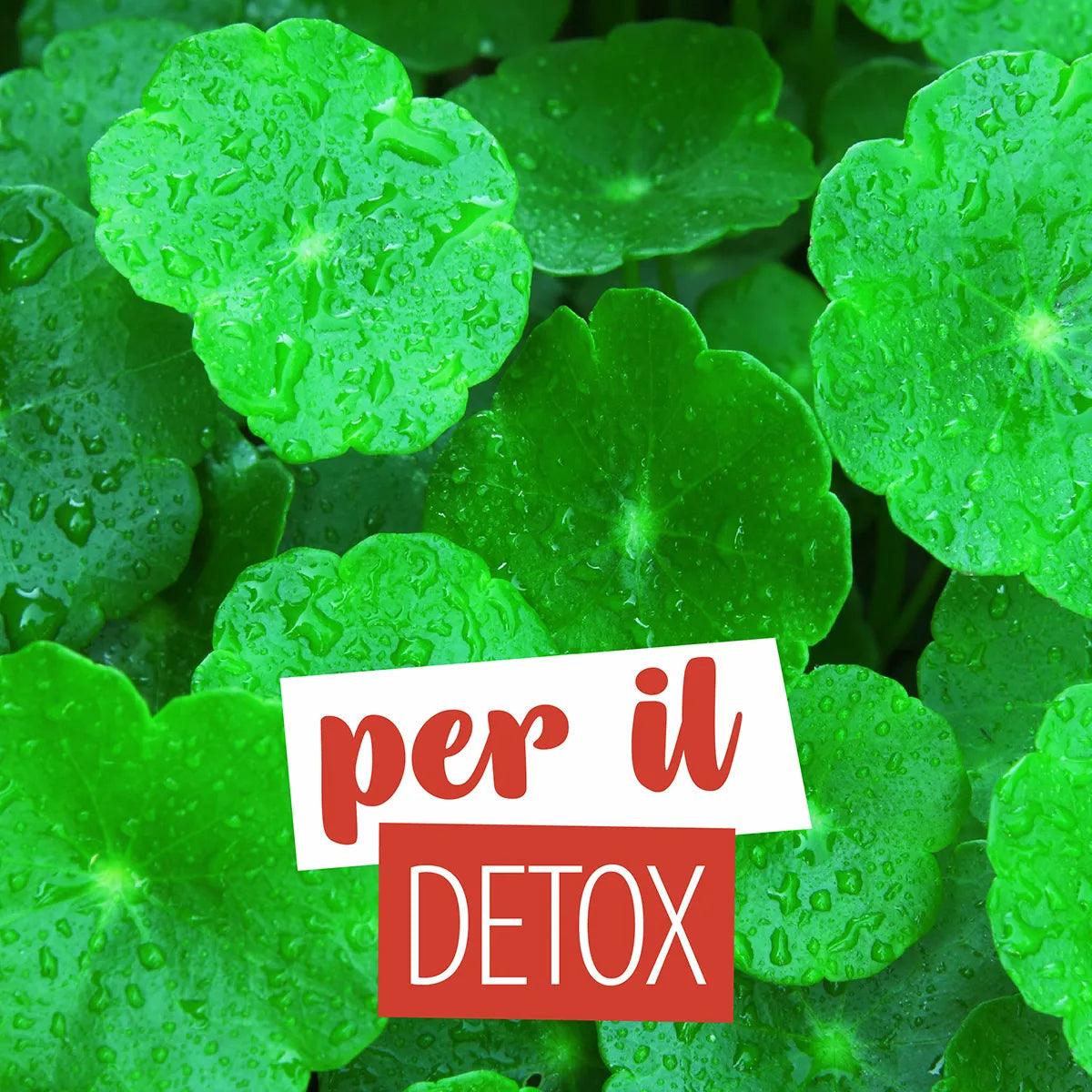 Detox - BODY PACK - Ysorys Per Te