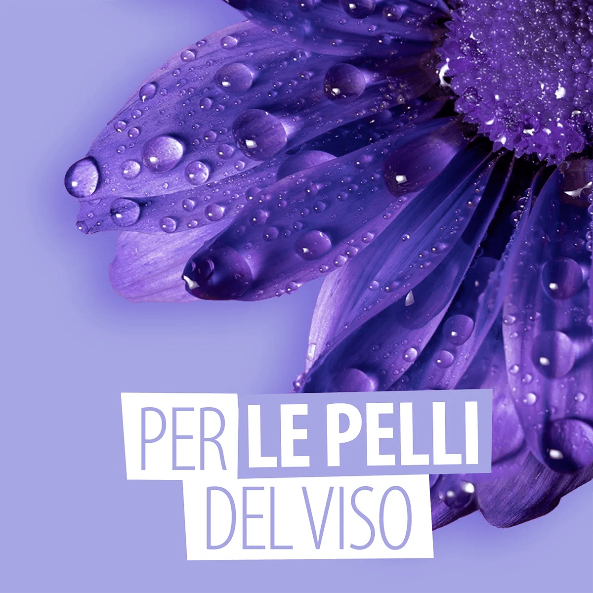 LEXI CREAM - 50 ml - Ysorys Per Te