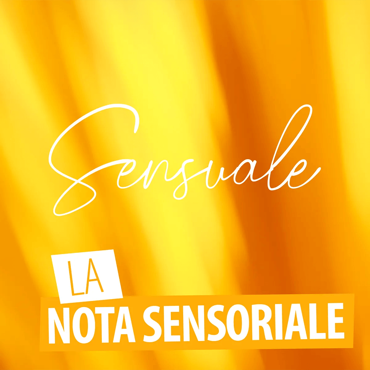 SENSUAL Body Butter - 200 ml - Ysorys Per Te