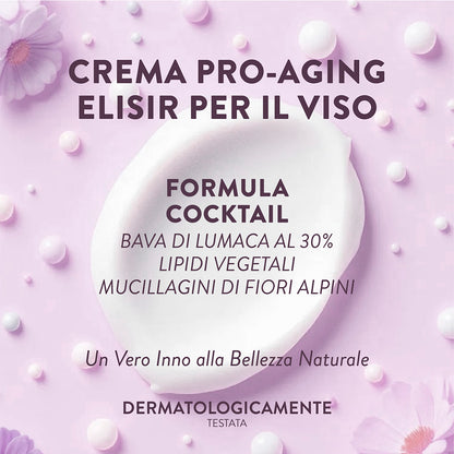 CHARLOTTE CREAM - 50ml